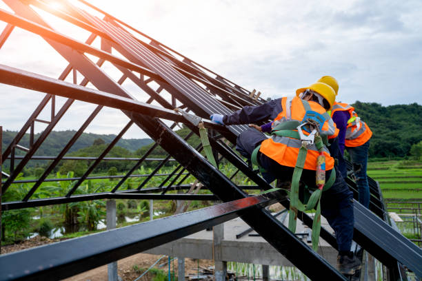 Best Roof Gutter Cleaning  in Madisonville, LA