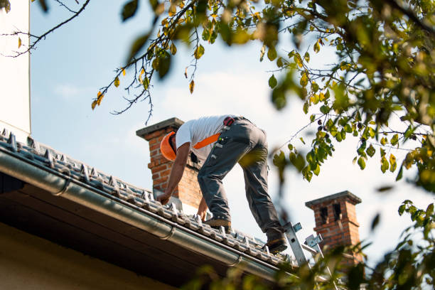 Best Gutter Installation and Roofing  in Madisonville, LA